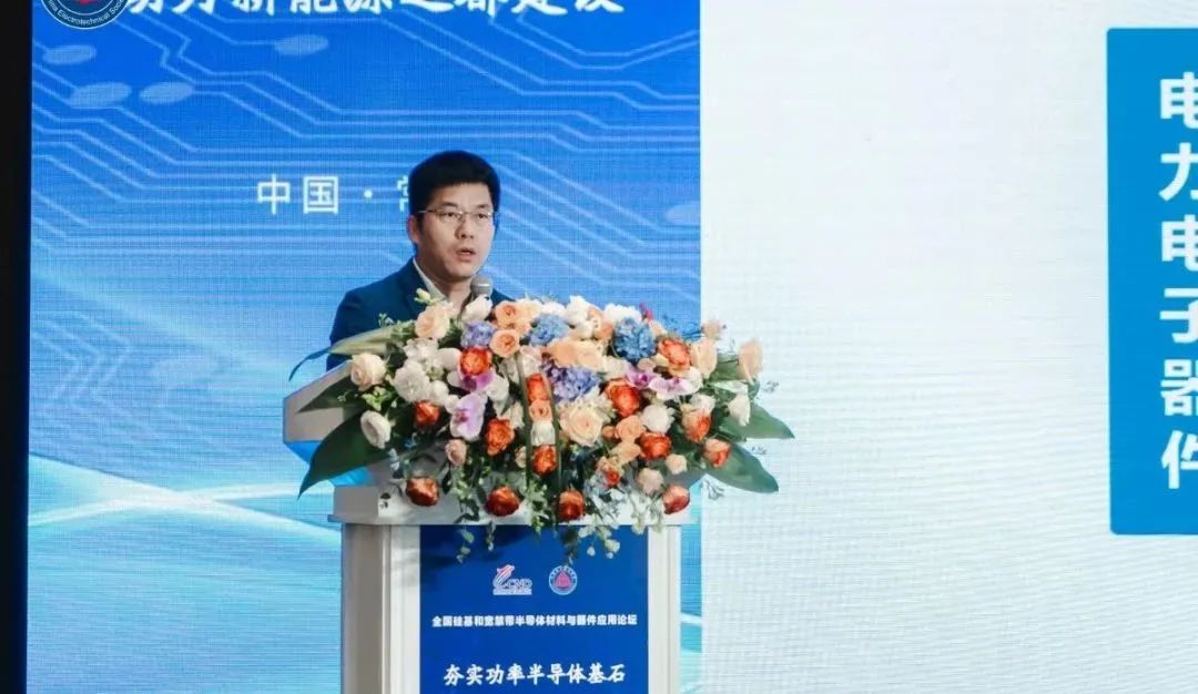 西安交通大學(xué) 電力設(shè)備電氣絕緣國(guó)家重點(diǎn)實(shí)驗(yàn)室教授  王來(lái)利博士
