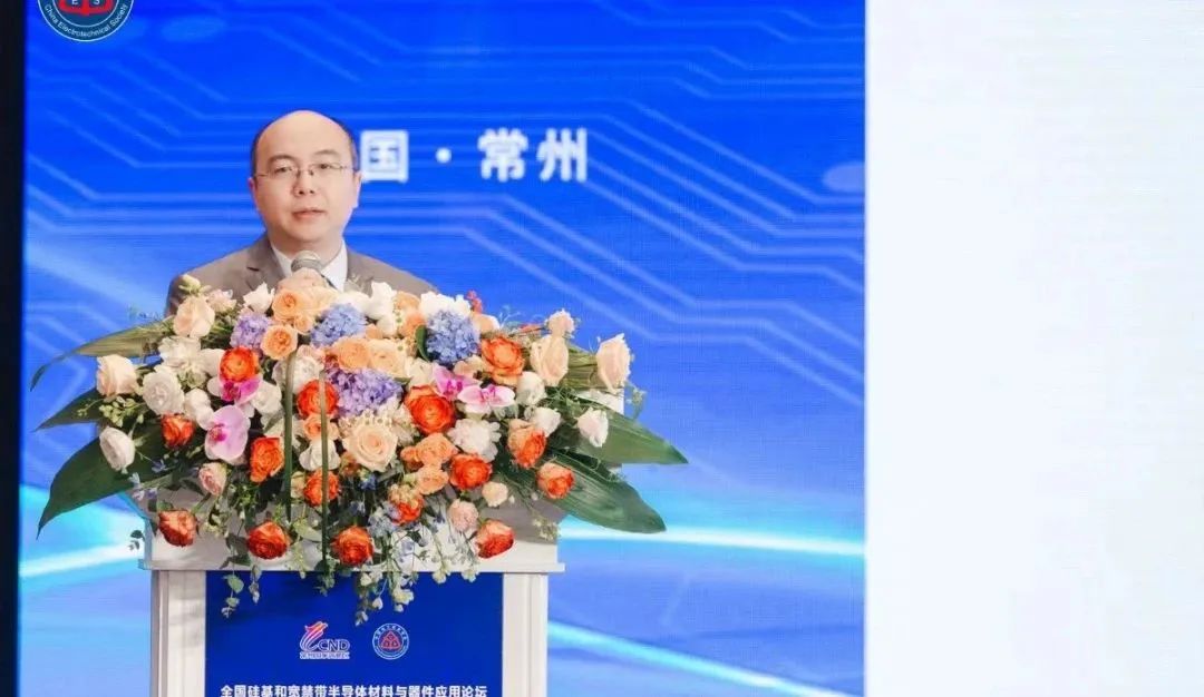 江蘇宏微科技股份有限公司 市場(chǎng)總監(jiān) 榮睿