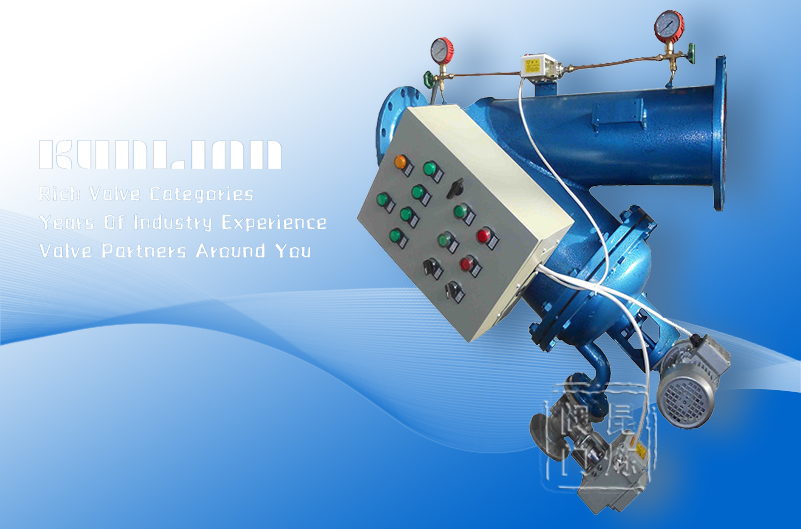 DSYY型全自動(dòng)過(guò)濾器 DSYY型全自動(dòng)過(guò)濾器